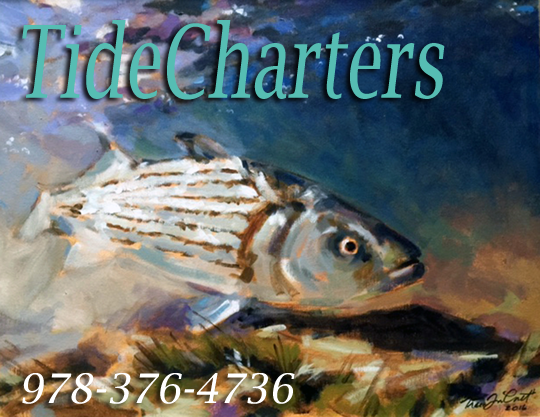 The Catch-striped bass, bluefish, flouder, mackerel